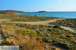 Bij Gomati en woestijn Amothines Katalakos Limnos (Lemnos) foto 11 - Foto van De Griekse Gids