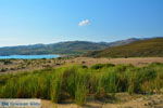 GriechenlandWeb.de Bij Gomati und woestijn Amothines Katalakos Limnos (Lemnos) foto 35 - Foto GriechenlandWeb.de