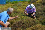 GriechenlandWeb Kavirio Limnos (Lemnos) | Griechenland foto 6 - Foto GriechenlandWeb.de