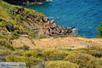 GriechenlandWeb.de Kavirio Limnos (Lemnos) | Griechenland foto 15 - Foto GriechenlandWeb.de