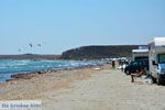 GriechenlandWeb Bij Strandt Keros | Kontopouli Limnos (Lemnos) | Foto 30 - Foto GriechenlandWeb.de