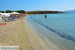 GriechenlandWeb.de Strand Megalo Fanaraki Moudros Limnos (Lemnos) | Foto 13 - Foto GriechenlandWeb.de