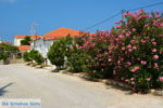 Panagia Limnos (Lemnos) | Griekenland foto 16 - Foto van De Griekse Gids