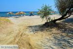 GriechenlandWeb Panagia Limnos (Lemnos) | Griechenland foto 26 - Foto GriechenlandWeb.de