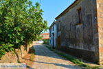 Pedino bij Nea Koutali Limnos (Lemnos) | Foto 3 - Foto van De Griekse Gids