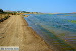 GriechenlandWeb Pedino Nea Koutali Limnos (Lemnos) | Foto 9 - Foto GriechenlandWeb.de