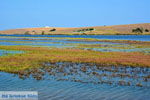 Pedino bij Nea Koutali Limnos (Lemnos) | Foto 10 - Foto van De Griekse Gids