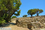 Poliochni Limnos (Lemnos) | Griekenland | Foto 22 - Foto van De Griekse Gids