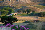 Bij Porto Myrina Limnos (Lemnos) | Griekenland foto 20 - Foto van De Griekse Gids