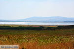 Route van Panagia naar Kontopouli Limnos (Lemnos) foto 3 - Foto van De Griekse Gids