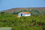 Skandali Limnos (Lemnos) | Griekenland foto 18 - Foto van De Griekse Gids