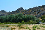 Stranden Thanos Limnos (Lemnos) | Griekenland foto 33 - Foto van De Griekse Gids