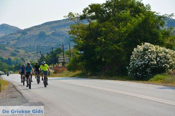 Fietsen op Limnos (Lemnos) | Griekenland foto 3 - Foto van https://www.grieksegids.nl/fotos/limnos/lemnos2/normaal/fietsen-fietsers-limnos-003.jpg