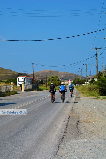 Fietsen op Limnos (Lemnos) | Griekenland foto 6 - Foto van https://www.grieksegids.nl/fotos/limnos/lemnos2/normaal/fietsen-fietsers-limnos-006.jpg