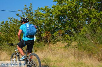 Fietsen op Limnos (Lemnos) | Griekenland foto 11 - Foto van https://www.grieksegids.nl/fotos/limnos/lemnos2/normaal/fietsen-fietsers-limnos-011.jpg