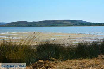 Ifestia Limnos (Lemnos) | Griekenland  | Foto 31 - Foto van https://www.grieksegids.nl/fotos/limnos/lemnos2/normaal/ifestia-limnos-031.jpg