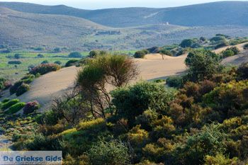 Amothines woestijn bij Katalakos Limnos (Lemnos) | Foto 11 - Foto van https://www.grieksegids.nl/fotos/limnos/lemnos2/normaal/katalakos-amothines-limnos-024.jpg