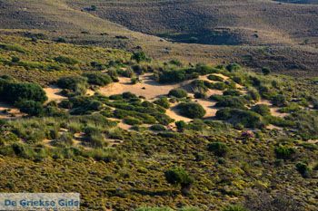 Amothines woestijn bij Katalakos Limnos (Lemnos) | Foto 12 - Foto van https://www.grieksegids.nl/fotos/limnos/lemnos2/normaal/katalakos-amothines-limnos-025.jpg