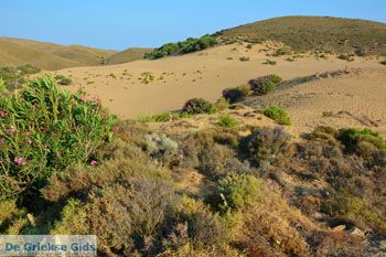 Amothines woestijn bij Katalakos Limnos (Lemnos) | Foto 18 - Foto van https://www.grieksegids.nl/fotos/limnos/lemnos2/normaal/katalakos-amothines-limnos-031.jpg