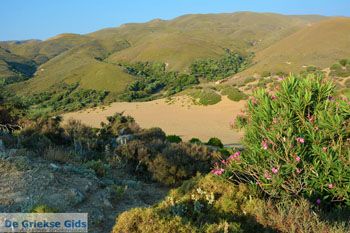 Amothines woestijn bij Katalakos Limnos (Lemnos) | Foto 19 - Foto van https://www.grieksegids.nl/fotos/limnos/lemnos2/normaal/katalakos-amothines-limnos-032.jpg