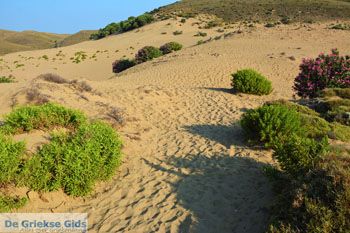 Amothines woestijn bij Katalakos Limnos (Lemnos) | Foto 21 - Foto van De Griekse Gids