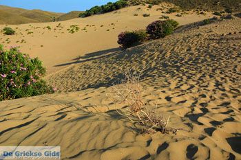 Amothines woestijn bij Katalakos Limnos (Lemnos) | Foto 23 - Foto van https://www.grieksegids.nl/fotos/limnos/lemnos2/normaal/katalakos-amothines-limnos-036.jpg