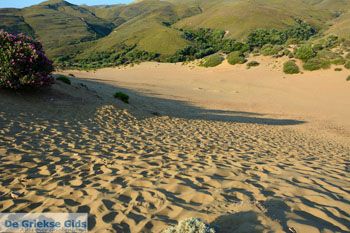 Amothines woestijn bij Katalakos Limnos (Lemnos) | Foto 29 - Foto van https://www.grieksegids.nl/fotos/limnos/lemnos2/normaal/katalakos-amothines-limnos-042.jpg