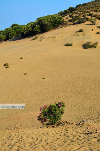 Amothines woestijn bij Katalakos Limnos (Lemnos) | Foto 37 - Foto van https://www.grieksegids.nl/fotos/limnos/lemnos2/normaal/katalakos-amothines-limnos-050.jpg