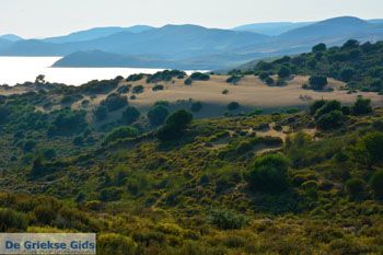 Bij Gomati en woestijn Amothines Katalakos Limnos (Lemnos) foto 2 - Foto van https://www.grieksegids.nl/fotos/limnos/lemnos2/normaal/katalakos-amothines-limnos-054.jpg