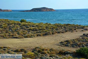 Bij Gomati en woestijn Amothines Katalakos Limnos (Lemnos) foto 6 - Foto van https://www.grieksegids.nl/fotos/limnos/lemnos2/normaal/katalakos-amothines-limnos-058.jpg