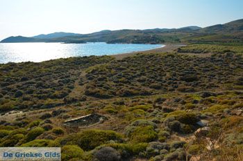 Bij Gomati en woestijn Amothines Katalakos Limnos (Lemnos) foto 8 - Foto van https://www.grieksegids.nl/fotos/limnos/lemnos2/normaal/katalakos-amothines-limnos-060.jpg
