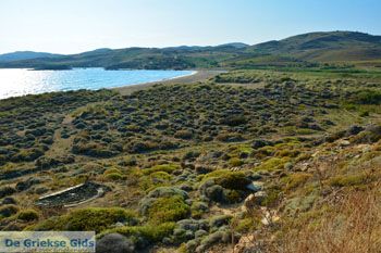 Bij Gomati en woestijn Amothines Katalakos Limnos (Lemnos) foto 10 - Foto van https://www.grieksegids.nl/fotos/limnos/lemnos2/normaal/katalakos-amothines-limnos-062.jpg