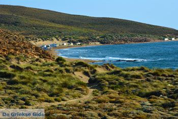 Bij Gomati en woestijn Amothines Katalakos Limnos (Lemnos) foto 13 - Foto van https://www.grieksegids.nl/fotos/limnos/lemnos2/normaal/katalakos-amothines-limnos-065.jpg