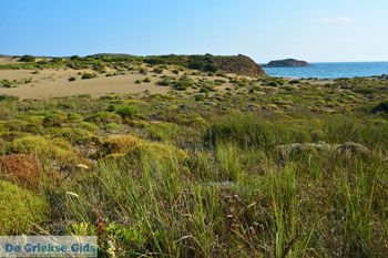 Bij Gomati en woestijn Amothines Katalakos Limnos (Lemnos) foto 15 - Foto van https://www.grieksegids.nl/fotos/limnos/lemnos2/normaal/katalakos-amothines-limnos-067.jpg