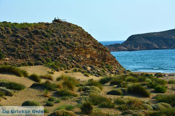 Bij Gomati en woestijn Amothines Katalakos Limnos (Lemnos) foto 16 - Foto van https://www.grieksegids.nl/fotos/limnos/lemnos2/normaal/katalakos-amothines-limnos-068.jpg
