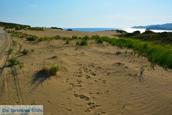 Bij Gomati en woestijn Amothines Katalakos Limnos (Lemnos) foto 17 - Foto van https://www.grieksegids.nl/fotos/limnos/lemnos2/normaal/katalakos-amothines-limnos-069.jpg