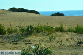 Bij Gomati en woestijn Amothines Katalakos Limnos (Lemnos) foto 19 - Foto van https://www.grieksegids.nl/fotos/limnos/lemnos2/normaal/katalakos-amothines-limnos-071.jpg