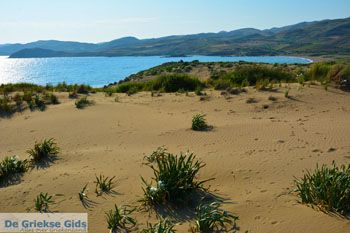 Bij Gomati en woestijn Amothines Katalakos Limnos (Lemnos) foto 24 - Foto van https://www.grieksegids.nl/fotos/limnos/lemnos2/normaal/katalakos-amothines-limnos-076.jpg