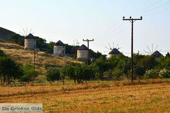 Kontias Limnos (Lemnos) | Griekenland foto 6 - Foto van https://www.grieksegids.nl/fotos/limnos/lemnos2/normaal/kontias-limnos-006.jpg