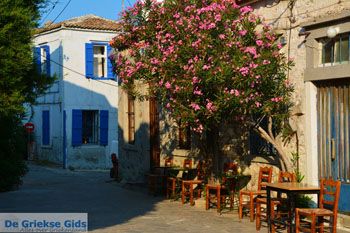 Kontias Limnos (Lemnos) | Griekenland foto 30 - Foto van https://www.grieksegids.nl/fotos/limnos/lemnos2/normaal/kontias-limnos-030.jpg