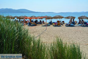 Strand Megalo Fanaraki bij Moudros Limnos (Lemnos) | Foto 20 - Foto van https://www.grieksegids.nl/fotos/limnos/lemnos2/normaal/megalo-fanaraki-moudros-limnos-020.jpg