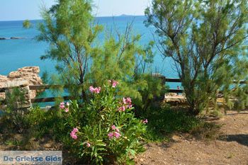 Strand Megalo Fanaraki bij Moudros Limnos (Lemnos) | Foto 73 - Foto van https://www.grieksegids.nl/fotos/limnos/lemnos2/normaal/mikro-fanaraki-moudros-limnos-052.jpg