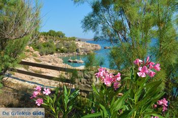 Strand Megalo Fanaraki bij Moudros Limnos (Lemnos) | Foto 82 - Foto van https://www.grieksegids.nl/fotos/limnos/lemnos2/normaal/mikro-fanaraki-moudros-limnos-061.jpg