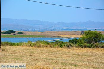 Moudros Limnos (Lemnos) | Griekenland foto 21 - Foto van https://www.grieksegids.nl/fotos/limnos/lemnos2/normaal/moudros-limnos-021.jpg