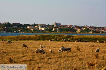 Moudros Limnos (Lemnos) | Griekenland foto 24 - Foto van De Griekse Gids