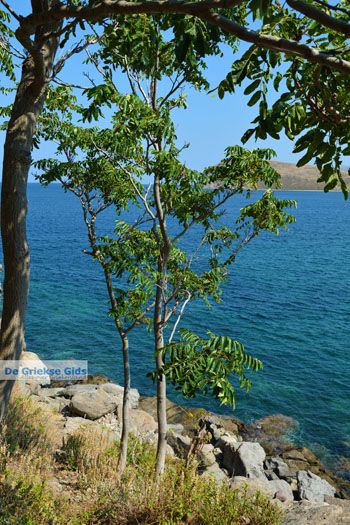 Myrina Limnos (Lemnos) | Griekenland foto 73 - Foto van https://www.grieksegids.nl/fotos/limnos/lemnos2/normaal/myrina-limnos-073.jpg