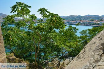 Myrina Limnos (Lemnos) | Griekenland foto 74 - Foto van https://www.grieksegids.nl/fotos/limnos/lemnos2/normaal/myrina-limnos-074.jpg