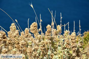 Myrina Limnos (Lemnos) | Griekenland foto 108 - Foto van https://www.grieksegids.nl/fotos/limnos/lemnos2/normaal/myrina-limnos-108.jpg