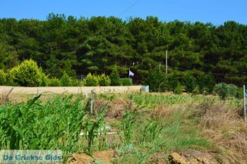 Nea Koutali Limnos (Lemnos) | Griekenland foto 1 - Foto van https://www.grieksegids.nl/fotos/limnos/lemnos2/normaal/nea-koutali-limnos-001.jpg