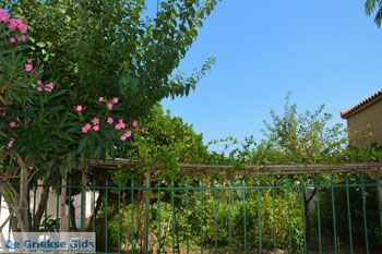 Panagia Limnos (Lemnos) | Griekenland foto 11 - Foto van https://www.grieksegids.nl/fotos/limnos/lemnos2/normaal/panagia-limnos-011.jpg